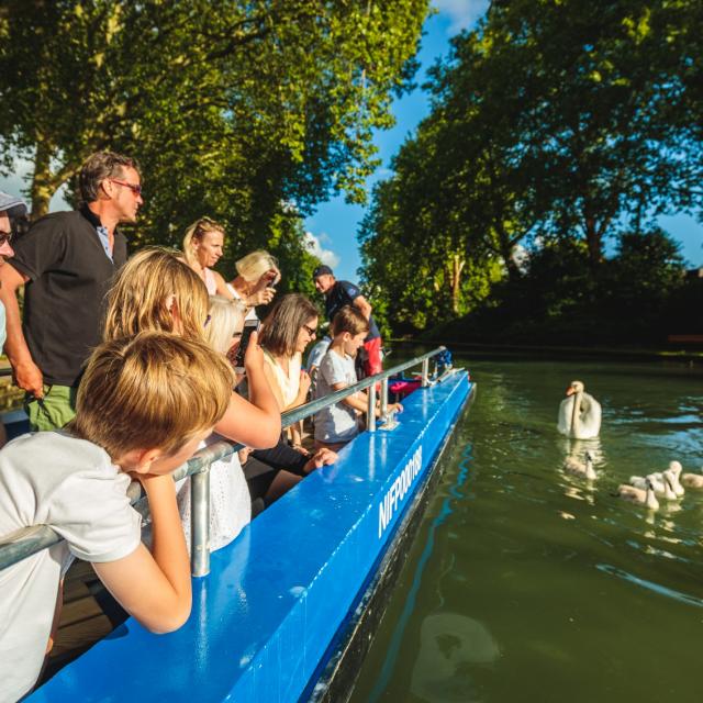 Balade En Barque Eaudyssee Cygnes En Famille © Teddy Picaude