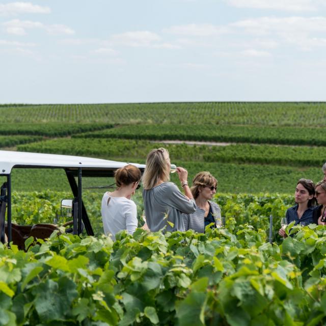 Champagne Bonnevie Bocart Voiturette Electrique 4 © Marat Anaev
