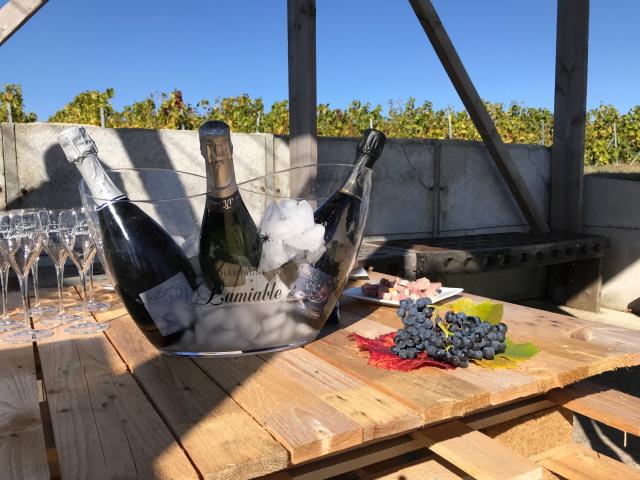 Degustation Loge De Vigne Champagne Lamiable © Office De Tourisme