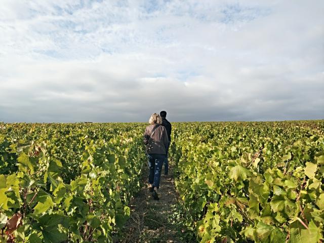 Degustation Loges De Vigne Vignoble Champagne © Mathilde Boivin