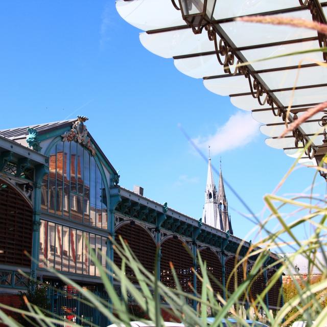 Halles Du Marche Chalons Plantes © Mathilde Boivin