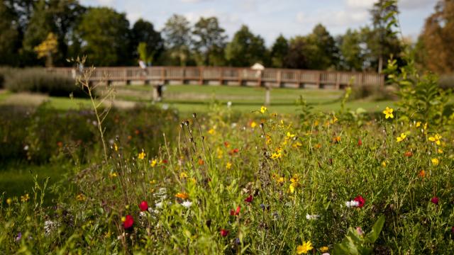 Jard Anglais Chalons Passerelle Fleurs © Jean Côme Nicolle