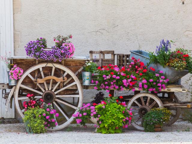 Baconnes Ville Jardin Decoration Fleurs