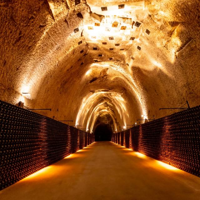 Champagne Joseph Perrier Visite Caves