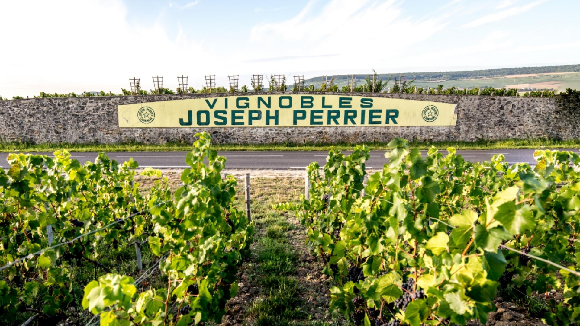 Maison de Champagne Joseph Perrier | Châlons Tourisme