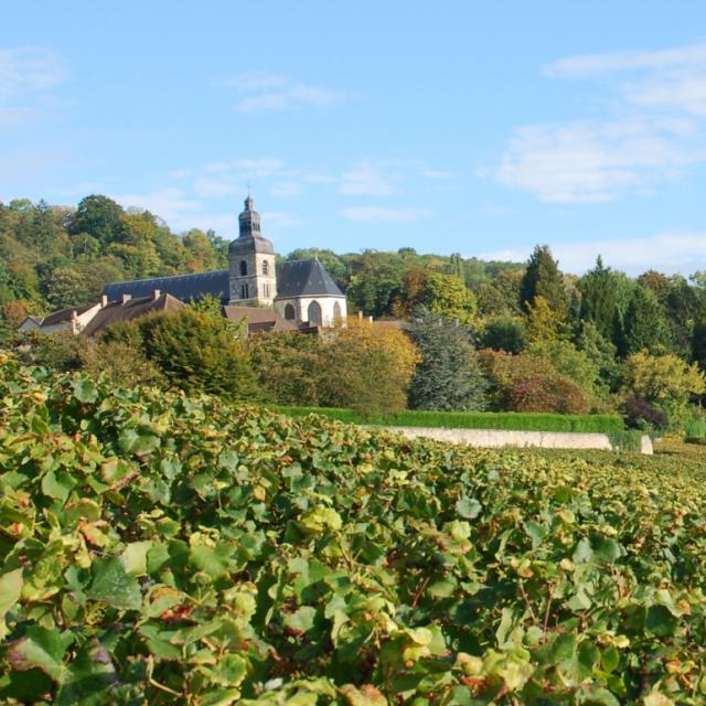 Hautvillers Vignes Eglise