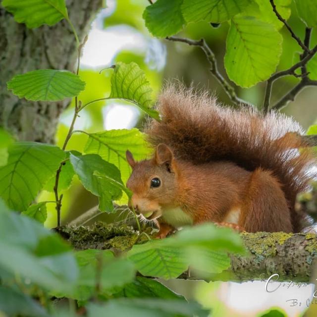 Instagram #verychalons