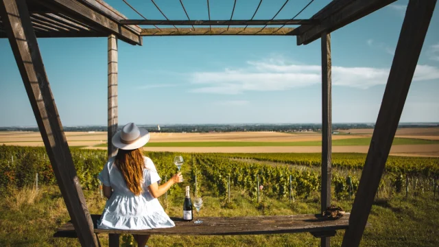 chalons-degustation-vigne