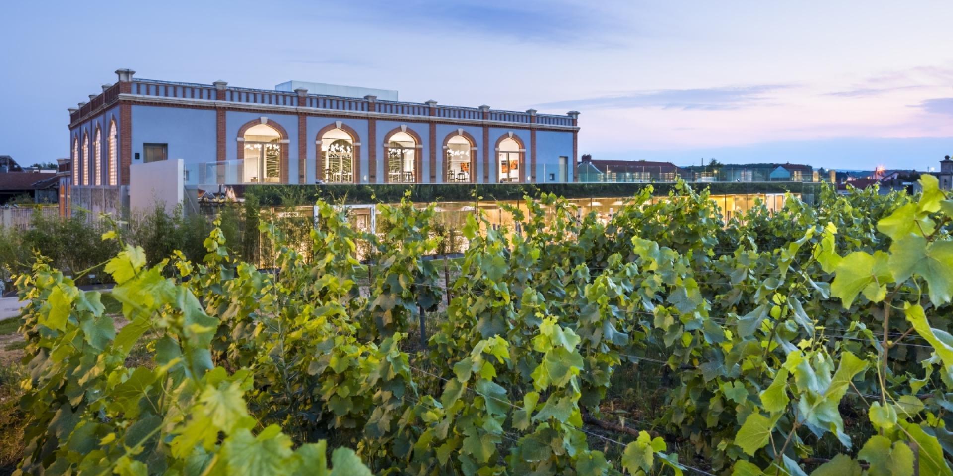 Pressoria Ay Champagne Musee 5 Sens Boegly Grazia