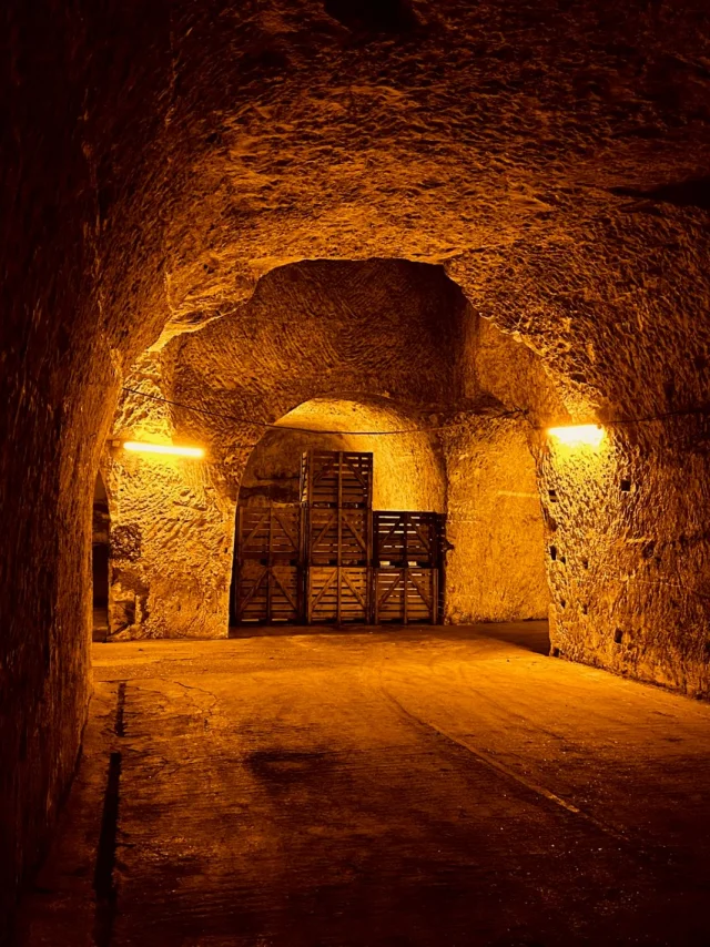Maison De Champagne Balincourt Caves Crayeres