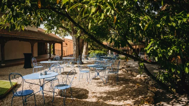 Aux Armes De Champagne L Epine Terrasse