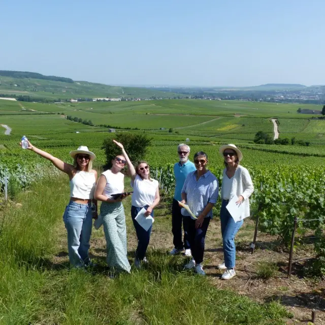 Sourire Co Chasse Aux Tresors Vignoble