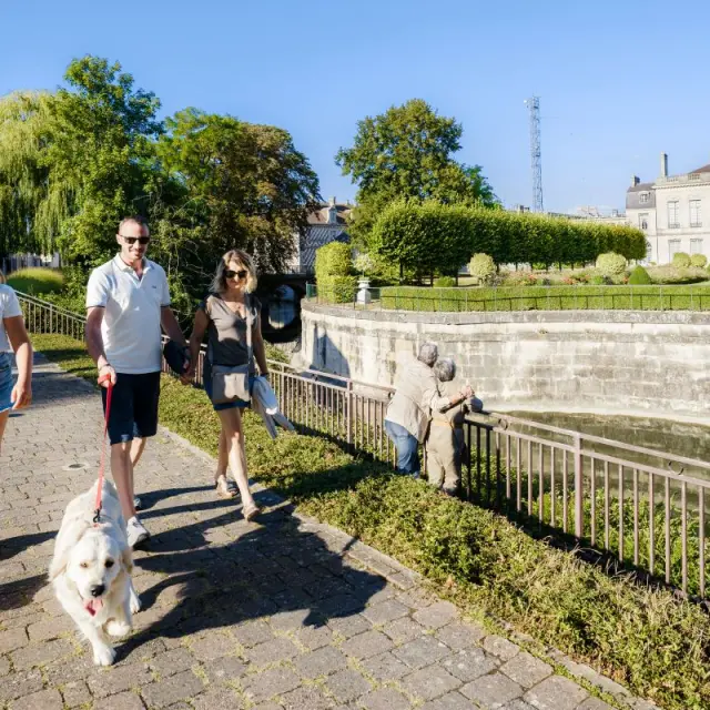 Toutourisme Chalons En Champagne Week End Chien